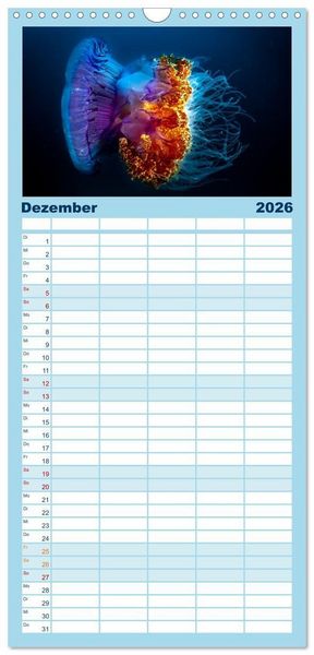 Produktbild: Familienplaner 2026 - Faszinierende Meereswelt der Malediven mit 5 Spalten (Wandkalender, 21 x 45 cm) CALVENDO