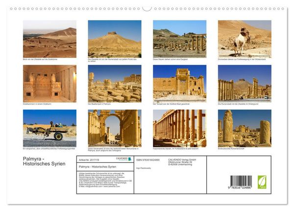 Produktbild: Palmyra - Historisches Syrien (hochwertiger Premium Wandkalender 2026 DIN A2 quer), Kunstdruck in Hochglanz