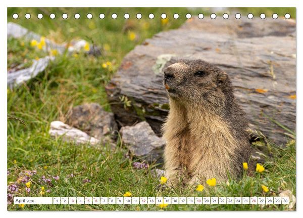 Produktbild: Frankreich - die Pyren&auml;en (Tischkalender 2026 DIN A5 quer), CALVENDO Monatskalender