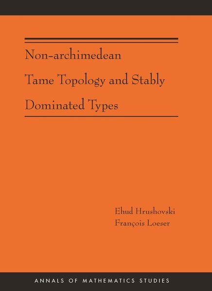 Produktbild: Non-Archimedean Tame Topology and Stably Dominated Types