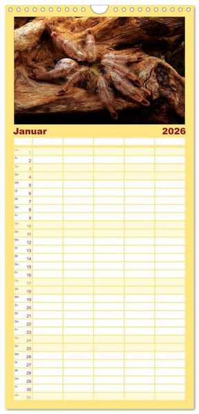 Produktbild: Familienplaner 2026 - Vogelspinnen - Tarantulas mit 5 Spalten (Wandkalender, 21 x 45 cm) CALVENDO