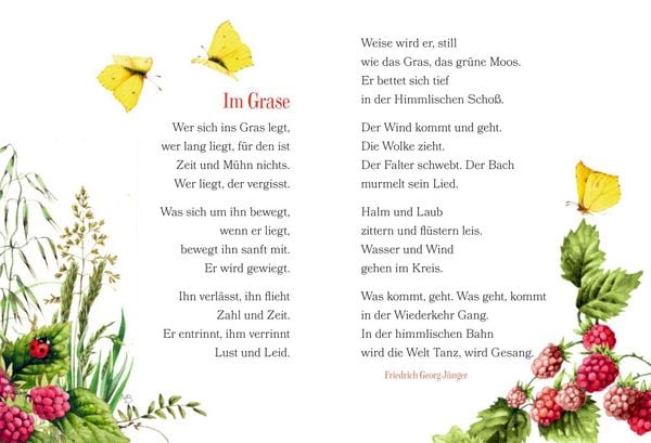 Produktbild: Der Weg zum Gl&uuml;ck f&uuml;hrt durch den Garten