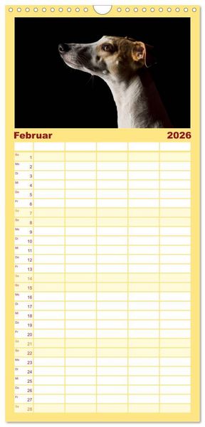 Produktbild: Familienplaner 2026 - Bunte Pfoten mit 5 Spalten (Wandkalender, 21 x 45 cm) CALVENDO