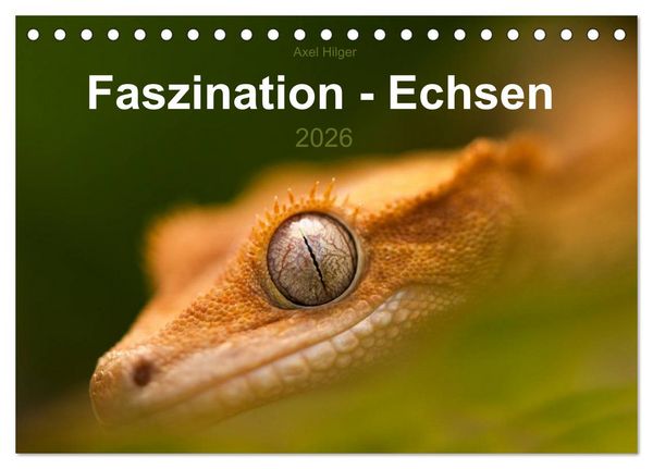 Faszination - Echsen (Tischkalender 2026 DIN A5 quer), CALVENDO Monatskalender
