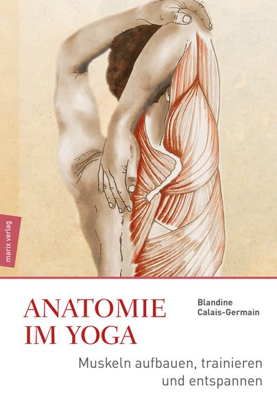 Anatomie im Yoga