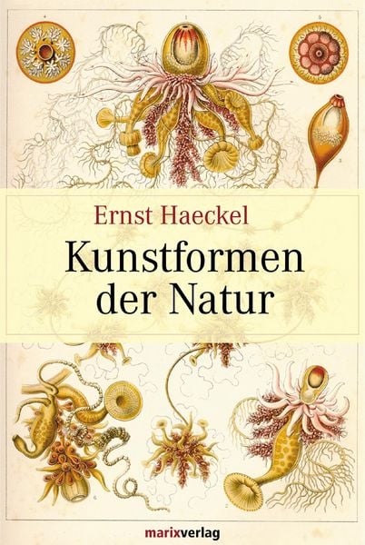 Produktbild: Kunstformen der Natur