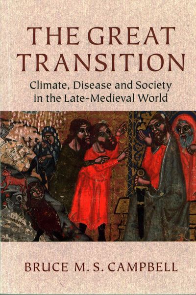 Produktbild: The Great Transition