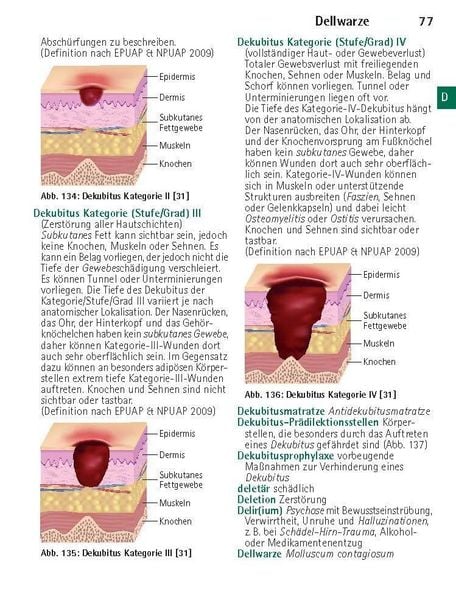 Produktbild: W&ouml;rterbuch Medizin pocket : Kleines Lexikon - medizinische Fachbegriffe , Fremdw&ouml;rter und Terminologie