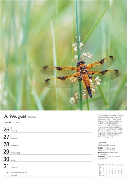 Produktbild: Heimische Tiere Wochenplaner 2027 - 53 faszinierende Fotografien