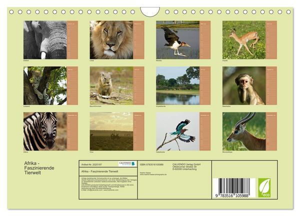 Produktbild: Afrika - Faszinierende Tierwelt (Wandkalender 2026 DIN A4 quer), CALVENDO Monatskalender