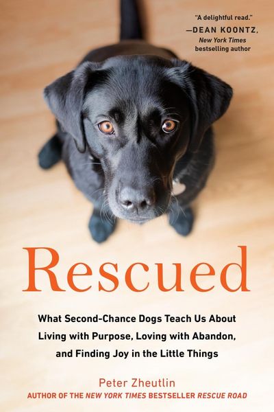 Produktbild: Rescued