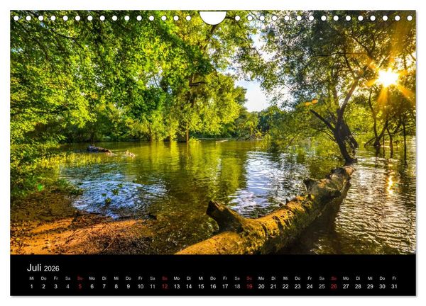 Produktbild: Mannheimer Waldpark (Wandkalender 2026 DIN A4 quer), CALVENDO Monatskalender