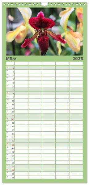 Produktbild: Familienplaner 2026 - Pr&auml;chtige Orchideen mit 5 Spalten (Wandkalender, 21 x 45 cm) CALVENDO