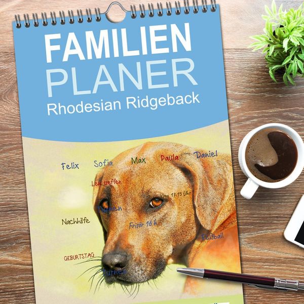 Produktbild: Familienplaner 2026 - Rhodesian Ridgeback 2026 mit 5 Spalten (Wandkalender, 21 x 45 cm) CALVENDO