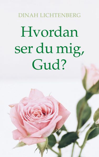 Produktbild: Hvordan ser du mig, Gud?