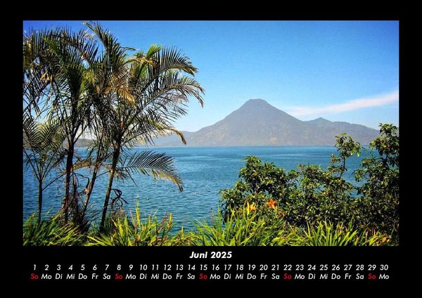 Produktbild: Palmen 2025 Fotokalender DIN A3
