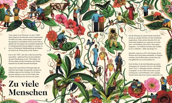 Produktbild: Das Wunder des Lebens