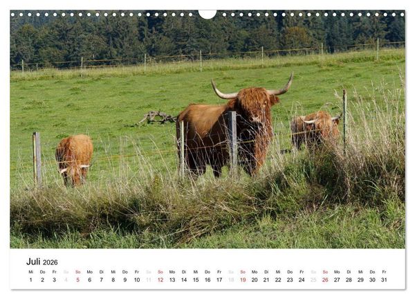 Produktbild: Bauernhoftiere (Wandkalender 2026 DIN A3 quer), CALVENDO Monatskalender