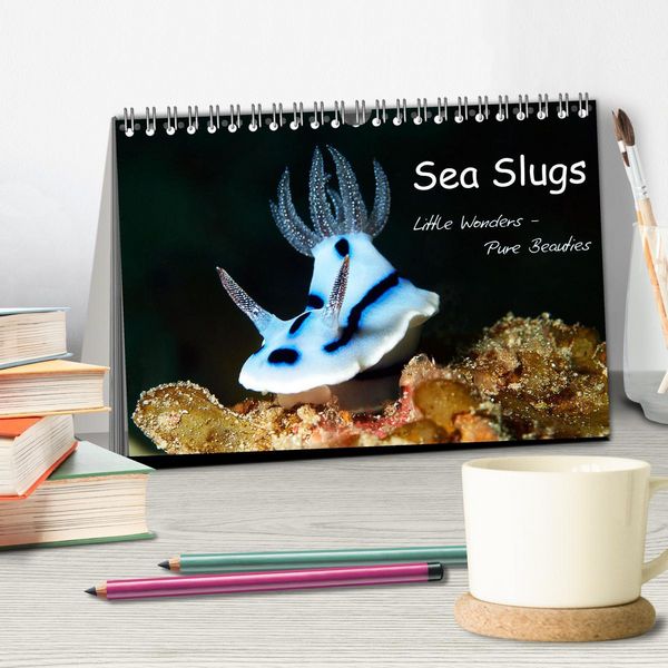 Produktbild: Sea Slugs - Little Wonders - Pure Beauties (Desk Calendar 2026 DIN A5 landscape), CALVENDO 12 Month DeskCalendar