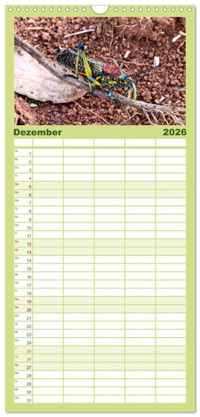Produktbild: Familienplaner 2026 - Tiere Madagaskars mit 5 Spalten (Wandkalender, 21 x 45 cm) CALVENDO