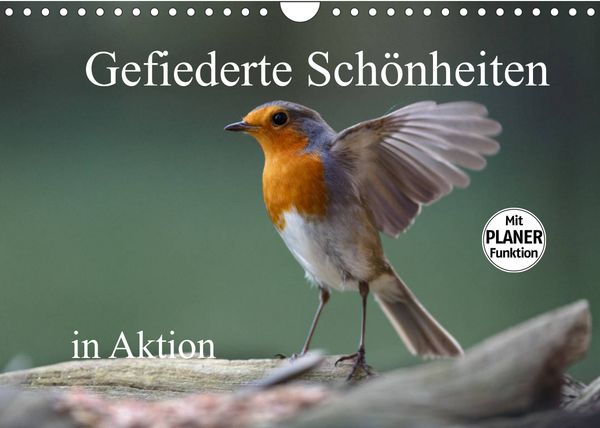 Produktbild: Gefiederte Sch&ouml;nheiten in Aktion (Wandkalender 2022 DIN A4 quer)