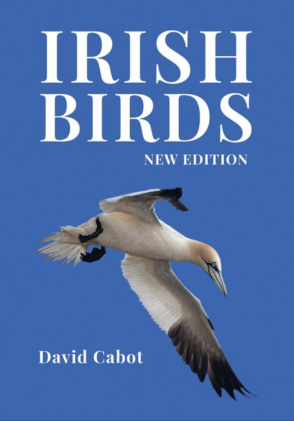 Produktbild: Irish Birds