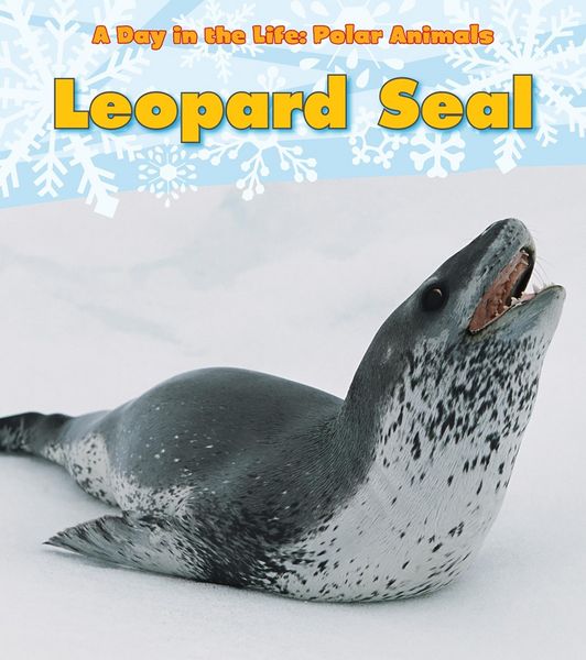 Produktbild: Leopard Seal