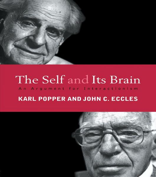 Produktbild: The Self and Its Brain