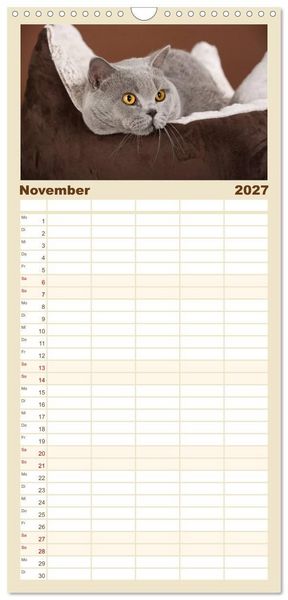 Produktbild: Familienplaner 2027 - Die Britisch Kurzhaar Katze mit 5 Spalten (Wandkalender, 21 x 45 cm) CALVENDO