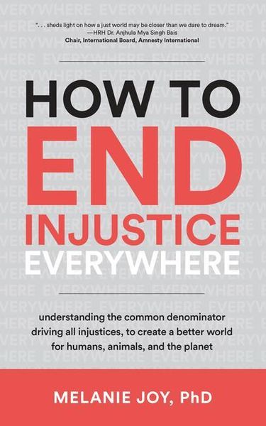 Produktbild: How to End Injustice Everywhere