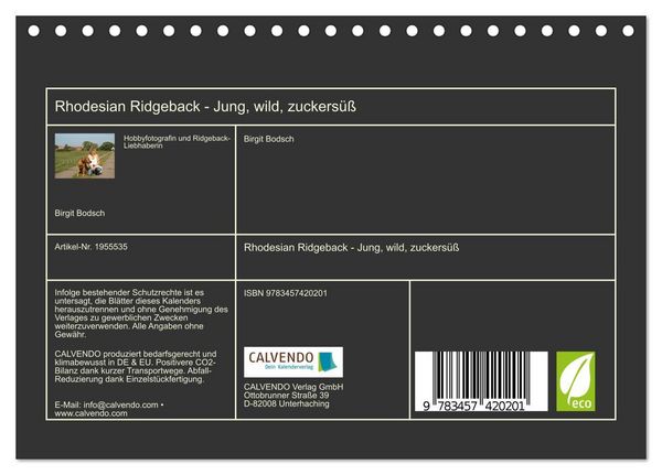 Produktbild: Rhodesian Ridgeback - Jung, wild, zuckers&uuml;&szlig; (Tischkalender 2026 DIN A5 quer), CALVENDO Monatskalender
