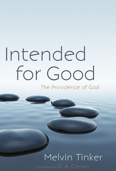 Produktbild: Intended for Good