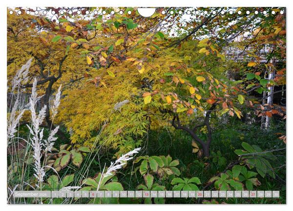 Produktbild: Fern&ouml;stlicher Zauber Japanischer Garten Leverkusen (Wandkalender 2026 DIN A4 quer), CALVENDO Monatskalender