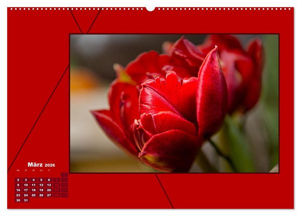 Produktbild: Powerfarbe Rot (Wandkalender 2026 DIN A2 quer), CALVENDO Monatskalender