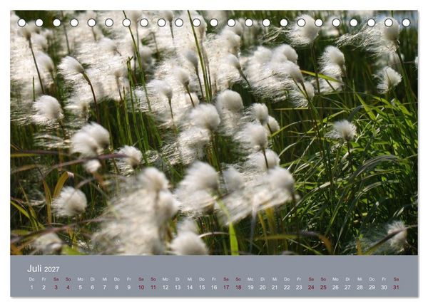 Produktbild: Kamtschatka - Vulkane, Asche, Eis (Tischkalender 2027 DIN A5 quer), CALVENDO Monatskalender