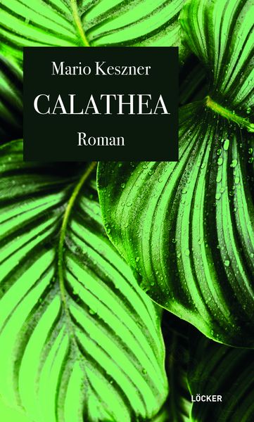 Produktbild: Calathea