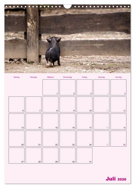 Produktbild: Schweinischer Terminplaner (Wandkalender 2026 DIN A3 hoch), CALVENDO Monatskalender