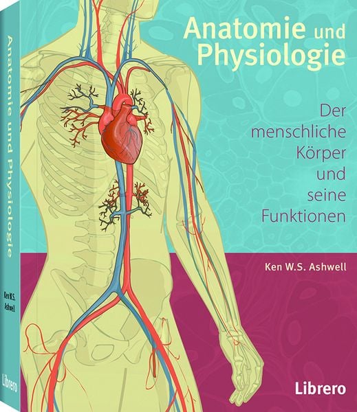 Produktbild: Anatomie und Physiologie