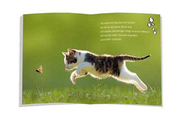 Produktbild: Wenn ich mein Leben noch einmal leben könnte…