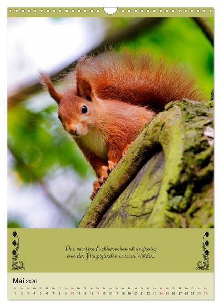Produktbild: Buntes Tierleben (Wandkalender 2026 DIN A3 hoch), CALVENDO Monatskalender