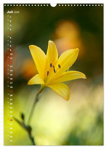 Produktbild: Colors of Nature (Wandkalender 2026 DIN A3 hoch), CALVENDO Monatskalender