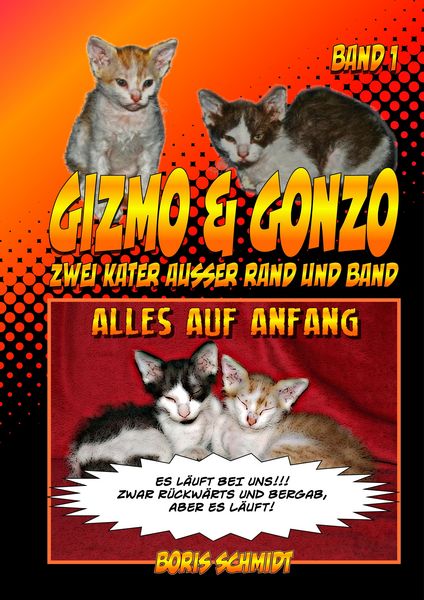 Produktbild: GIZMO & GONZO - Zwei Kater au&szlig;er Rand und Band