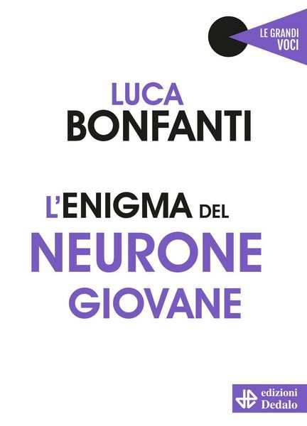 Produktbild: L' enigma del neurone giovane