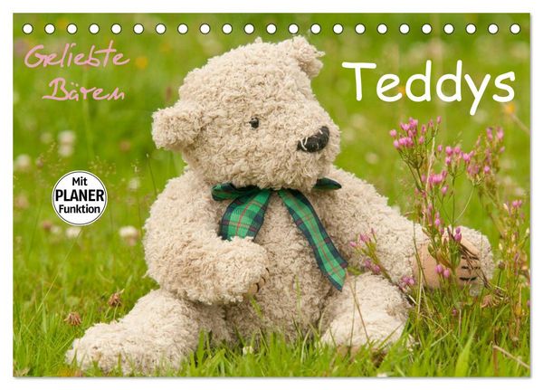 Produktbild: Geliebte B&auml;ren - Teddys (Tischkalender 2026 DIN A5 quer), CALVENDO Monatskalender