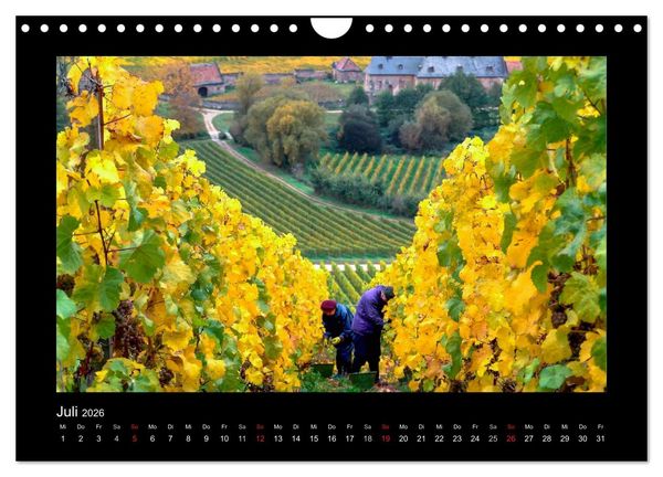 Produktbild: Wein - Reben, Wingerte und historische Weinkeller (Wandkalender 2026 DIN A4 quer), CALVENDO Monatskalender