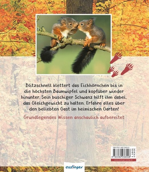 Produktbild: Meine große Tierbibliothek: Das Eichhörnchen
