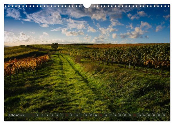 Produktbild: Wein - Landschaften (Wandkalender 2026 DIN A3 quer), CALVENDO Monatskalender