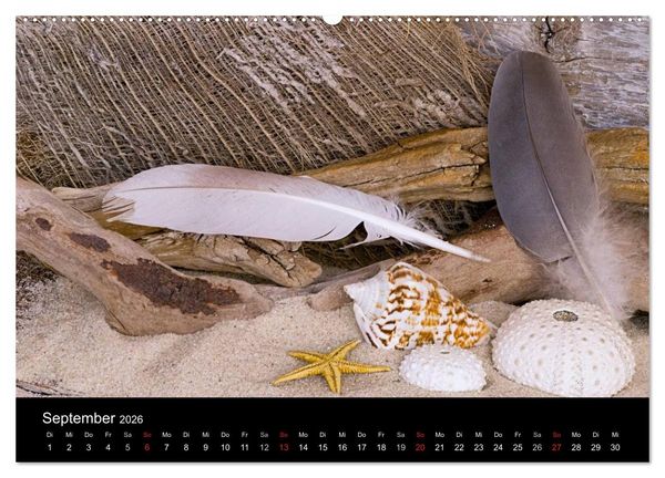 Produktbild: Strandgut und Meer 2026 (hochwertiger Premium Wandkalender 2026 DIN A2 quer), Kunstdruck in Hochglanz