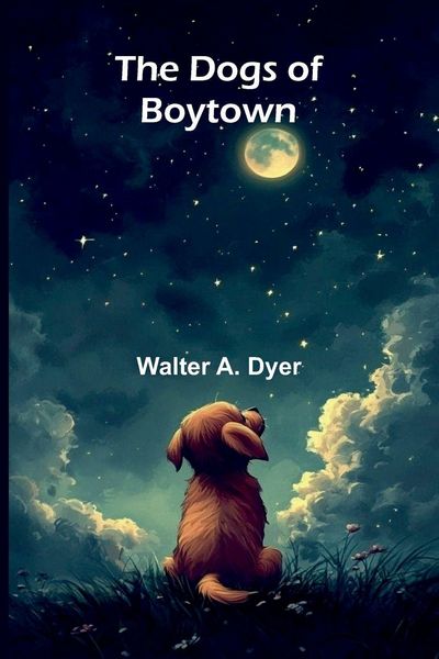 Produktbild: The Dogs of Boytown