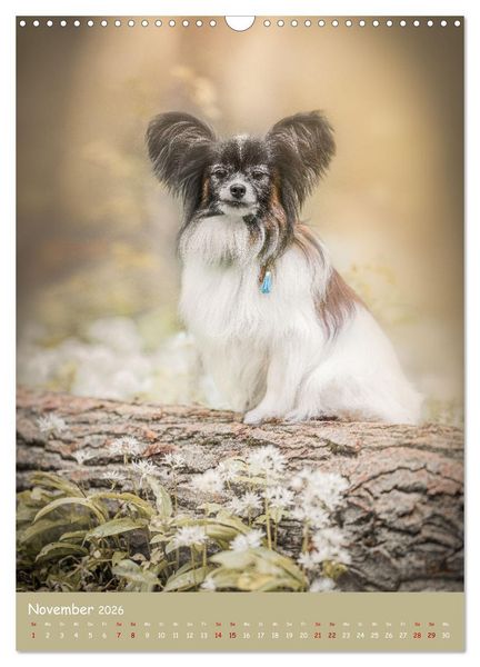 Produktbild: Flora Canidae - der Hunde-Bl&uuml;hpflanzen-Kalender (Wandkalender 2026 DIN A3 hoch), CALVENDO Monatskalender